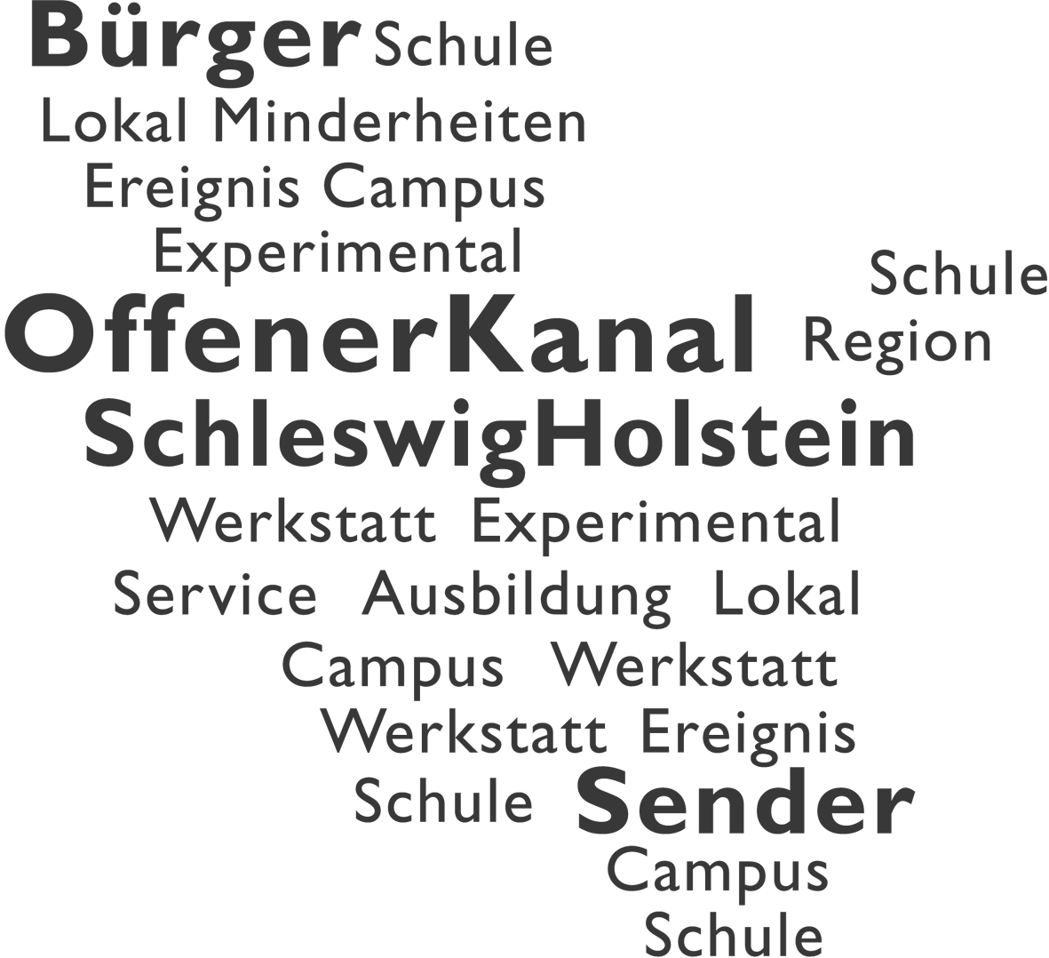 Logo Büchereizentrale Schleswig-Holstein